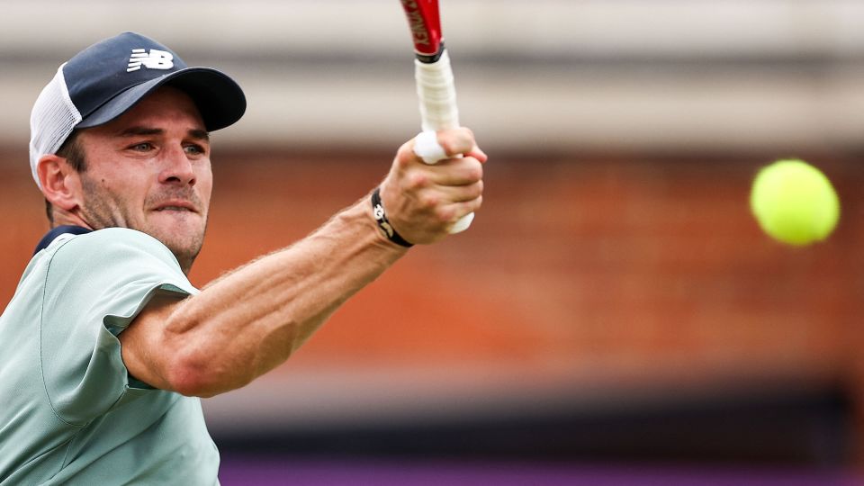 夏窗放人的 夏窗放人的